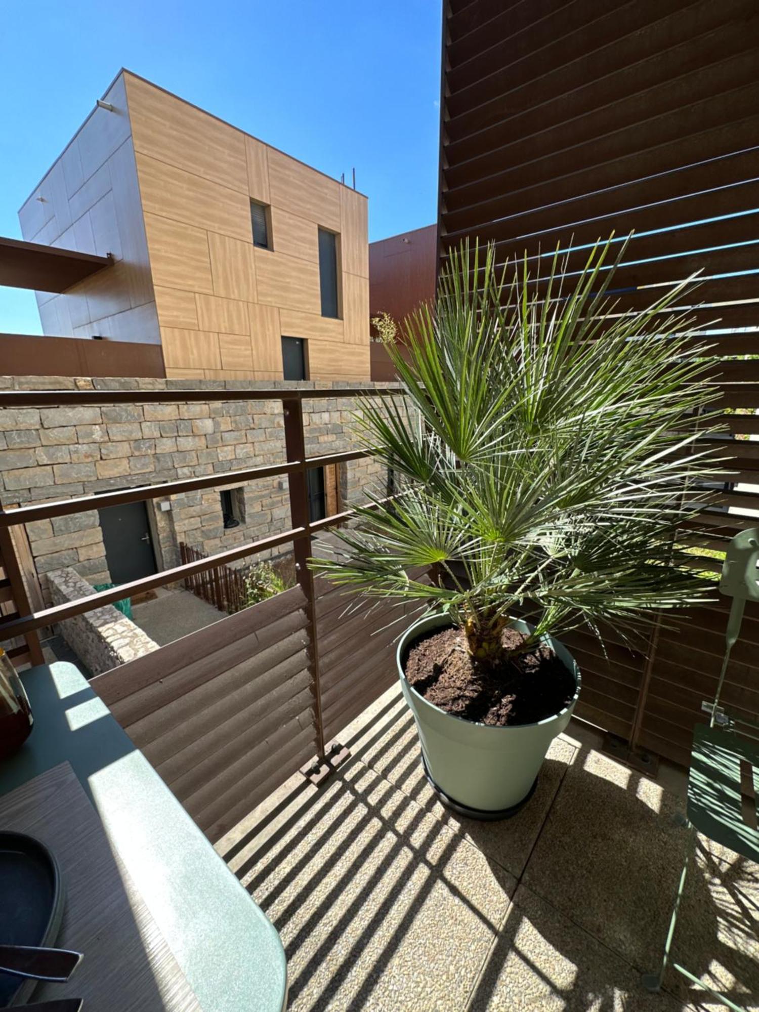 Appartement Charmant Au Porte De Montpellier Saint-Jean-de-Védas Exterior photo